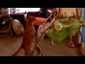 Кот баюкает малыша [cat lulls baby]