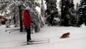 Приколы по приколу