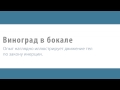 Виноград в бокале - физические опыты