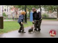 Stealing Cute Puppies Prank