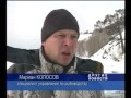 Люди помогают рыбам перезимовать