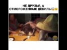 Девушки оригинально поздравили подругу с днем рожд