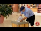 Lazy Mailman FAILS at His Job