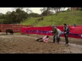 Jackass 3 - Roller buffalo