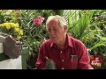 Best of Just for Laughs Gags - Plant Pranks