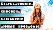 Благодарность, способна растворить любые проблемы