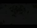 офигевшие животные!!!страшно интерсно!!!смотреть всем!!!