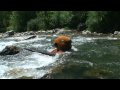 Beaver (Rémi GAILLARD)