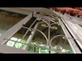 Обезьяны - хвостатые проказники