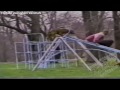 Приколы с животными №9. Fun with animals #9