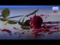 Роза и криогенная заморозка - опыты с жидким азотом