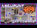 Лабиринт для хомяка