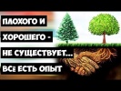 Плохого и Хорошего - Не существует...Всё есть Опыт