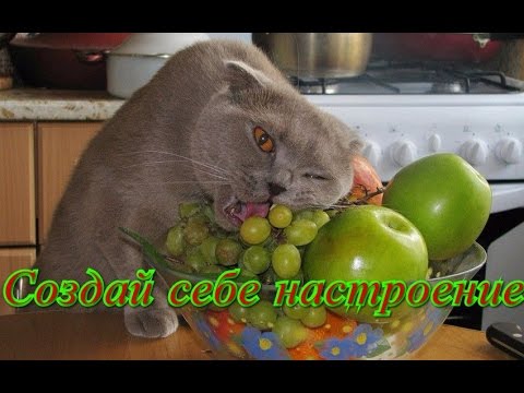 Самые Угарные Приколы - ржака компиляция 2015