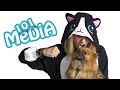СМЕШНЫЕ ЖИВОТНЫЕ| ПРИКОЛЫ 2017 | КОШКИ ПРОТИВ