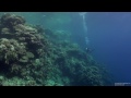 SCUBA Diving Egypt Red Sea - Underwater Video HD