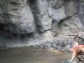 Выдры наказывают наглую обезьяну