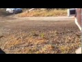 Ken Block's Car fails and crash