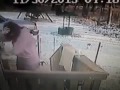 Не стоило пинать этого кота