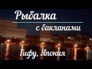 Рыбалка с бакланами