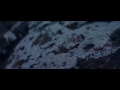 David Guetta - She Wolf (Falling To Pieces) ft. Sia