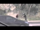 Свежайшая подборка аварий с видеорегистраторов за март 2014