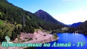 Мертвое озеро в горах Алтая