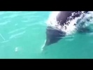 Неожиданный поворот событий во время рыбалки