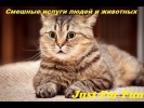 СМЕШНЫЕ ИСПУГИ ЛЮДЕЙ И ЖИВОТНЫХ 2019 #3 ЗАБАВНЫЕ Ж