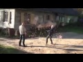 Драка со спецэффектами семьи синеносых