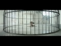 Sia - Elastic Heart feat. Shia LaBeouf & Maddie Ziegler (Official Video)