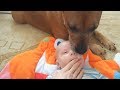 ТЕСТ НА ПСИХИКУ, КТО ЗАСМЕЕТСЯ ИЛИ УЛЫБНЕТСЯ