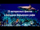 Большой Барьерный риф