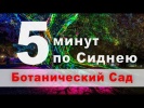 5 минут по Сиднею. Королевский ботанический сад.