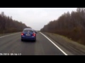 Мишку сбили на трассе
