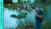 Ландшафтный дизайн - KOSTYA UDIN LANDSCAPE STUDIO: