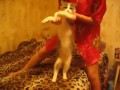 Танец живота