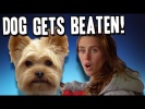 Doggy Beat Down
