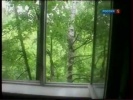 Встречи с шаровыми молниями
