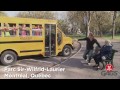 Best of Public Transportation - Best of Just for Laughs Gags