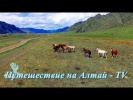 У подножия гор Алтая