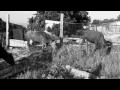 МАЧЕТЕ - Пацаны (OFFICIAL VIDEO)