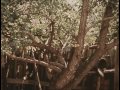 Возвращение Будулая (Серия 03) (фильм)