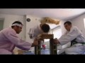 Best Jackass Moments