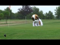 The 5 most stupid moments of 2010 (Rémi GAILLARD)
