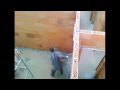 +100500 - Танцующий кальмар