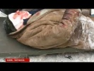 2014 Новости дня - Украина. Киев. Потери с обеих противостоящих сторон...