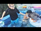 Приколы с детьми и животными Смешные дети