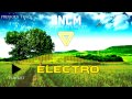 Chronic Maze   Backsynth [Electro]