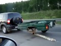 Отремонтировал прицеп в стиле -Я все починил